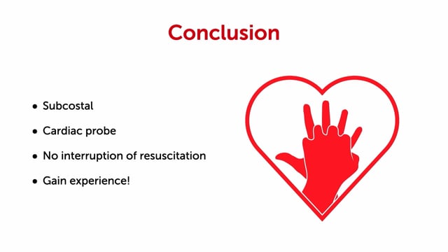 What is important to consider when using echo during resuscitation?