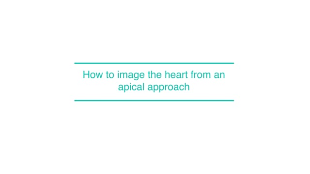 How to image the heart from an apical approach