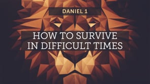 How to Survive in Difficult Times