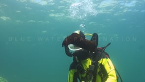 0491_female diver and sea hare