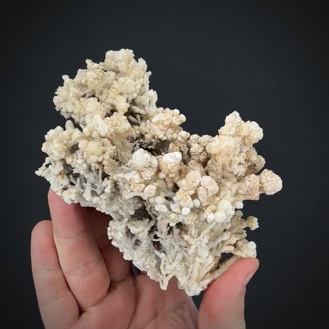 Aragonite var. Flos Ferri