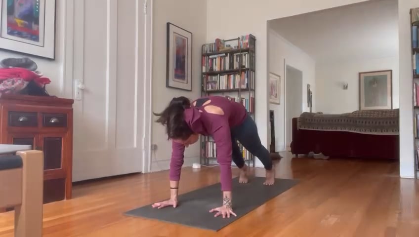 Preview: Half Primary for Stabilization on Vimeo