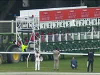 Pierata, The Shorts, Gr.2, 1100m, Randwick