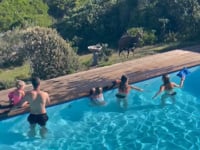 Game viewing at home