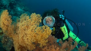 0545_scuba diver girl soft corals