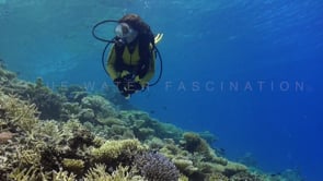 0605_coral reef with female diver