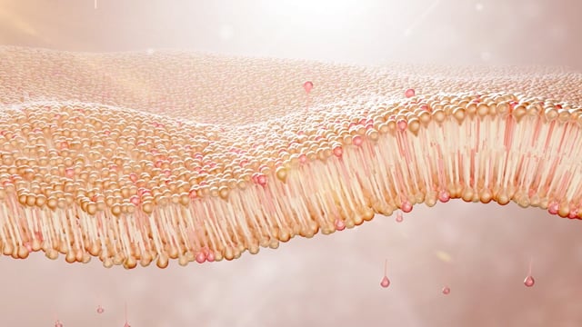 3DSCIENCE-UNILEVER