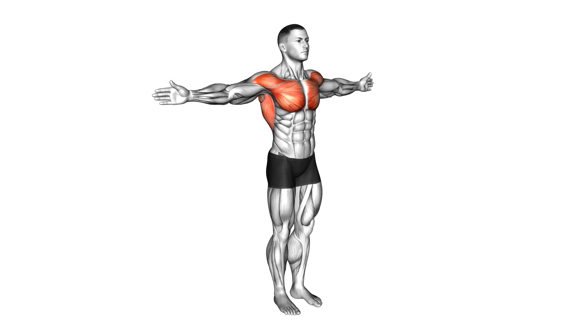 Dynamic Chest Stretch