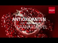 Weleda Granaatappel & Maca Verstevigende Dagcrème 40ML 1
