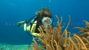 0665_scuba diver girl wavy coral