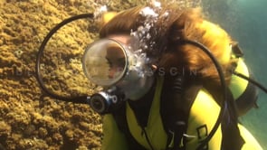 0866_female scuba diver oval mask close up