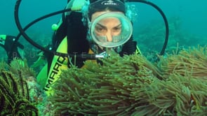 1119_female scuba diver with anemonefish