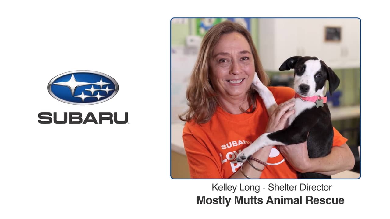 Subaru of Kennesaw "Mostly Mutts 60" on Vimeo
