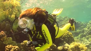 1128_female scuba diver hard corals