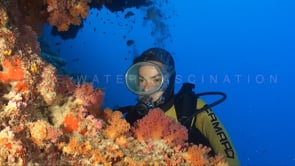 1132_female scuba diver hood and soft corals