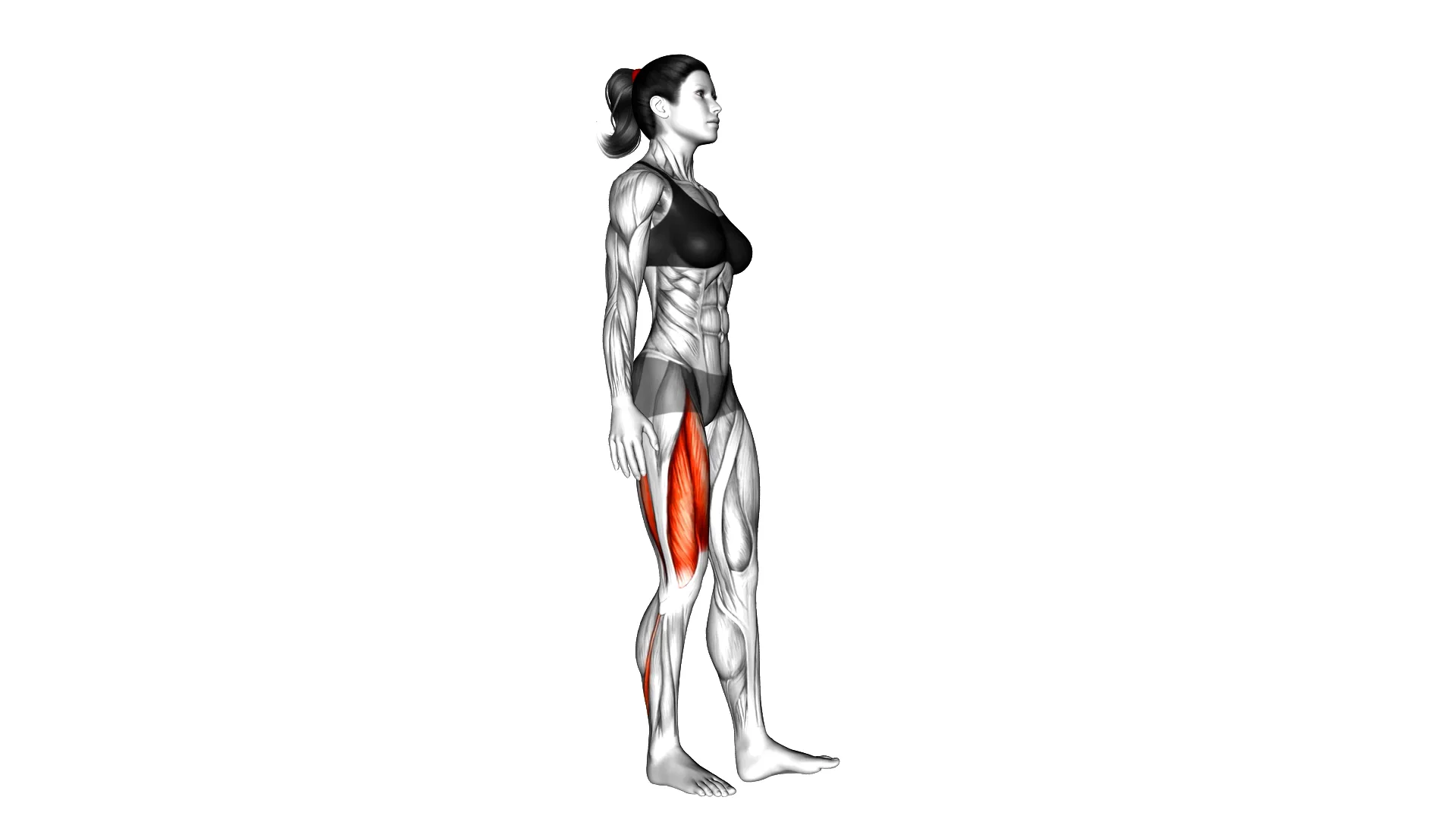 Single Leg Squat (pistol) 2 on Vimeo
