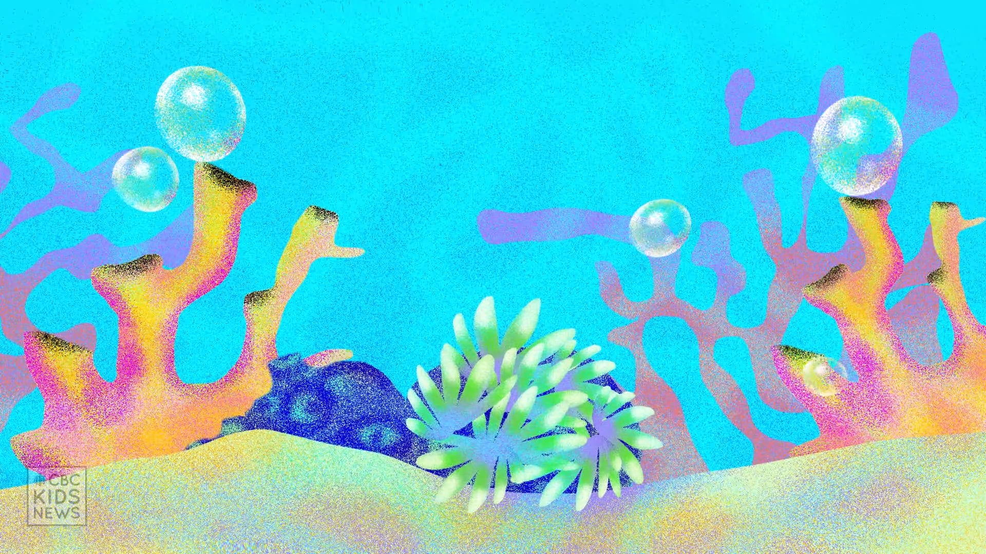 Cbc kids news explains greenwashing on vimeo