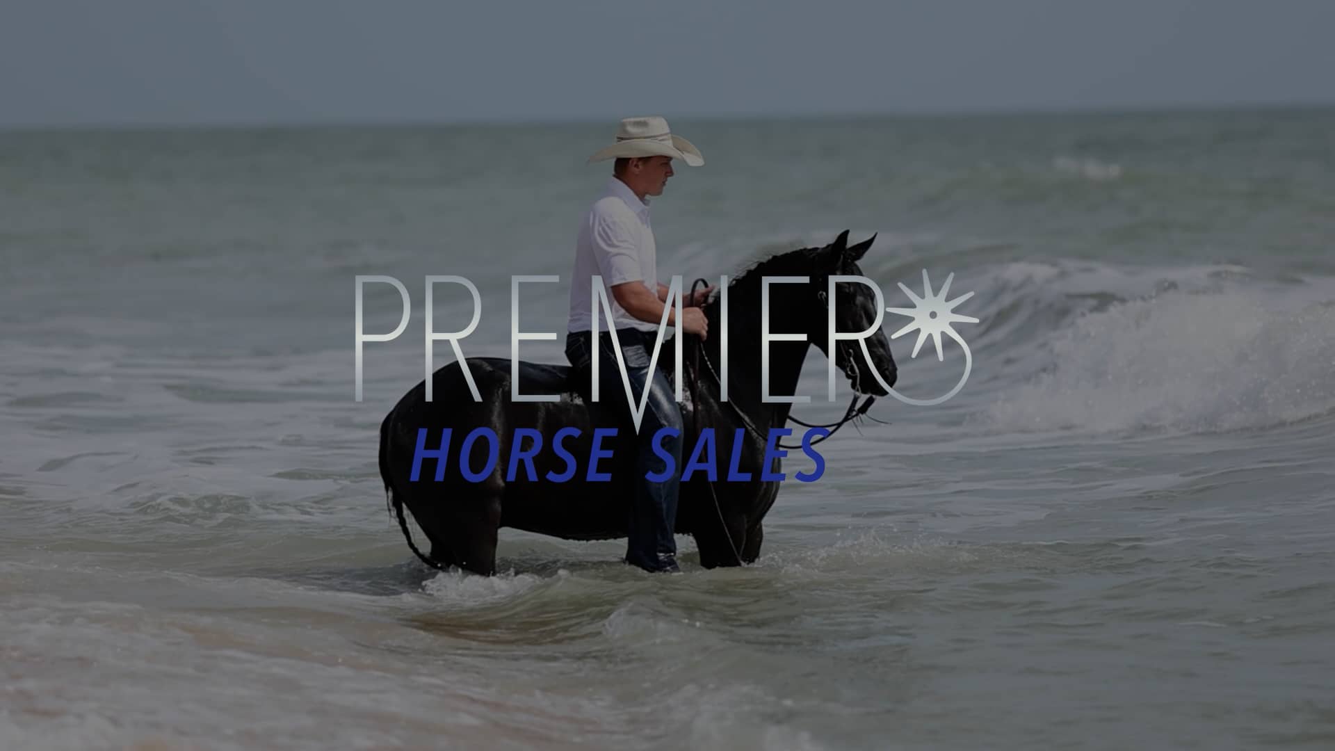 Premier Horse Sales Pre Sale Video Ocala on Vimeo
