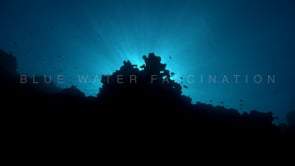 1093_reef silhouette