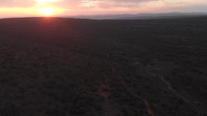 Our wild African utopia