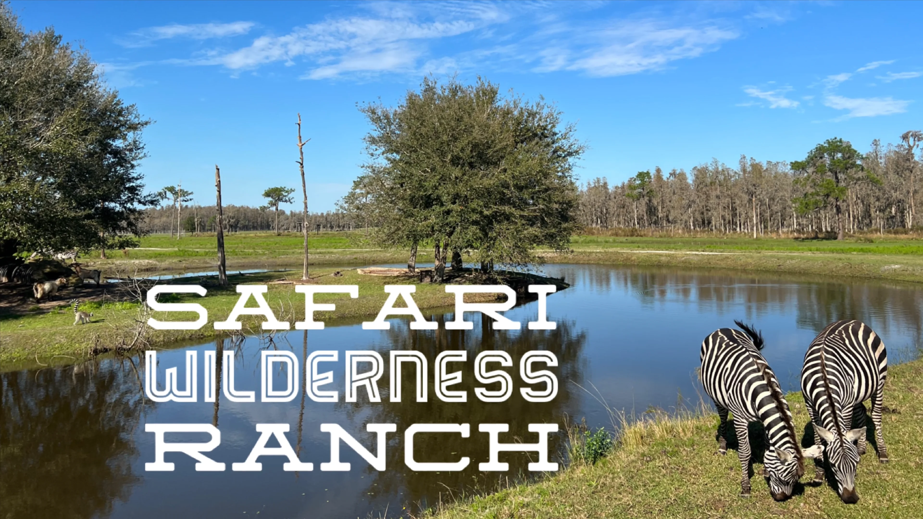 Safari Wilderness Ranch on Vimeo
