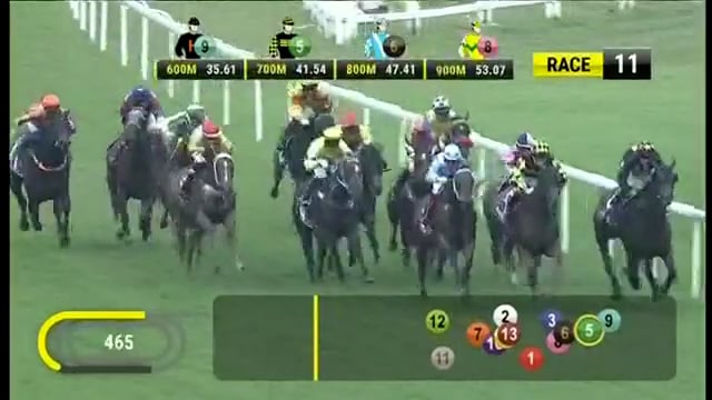 I Am Invincible Stallion Breednet