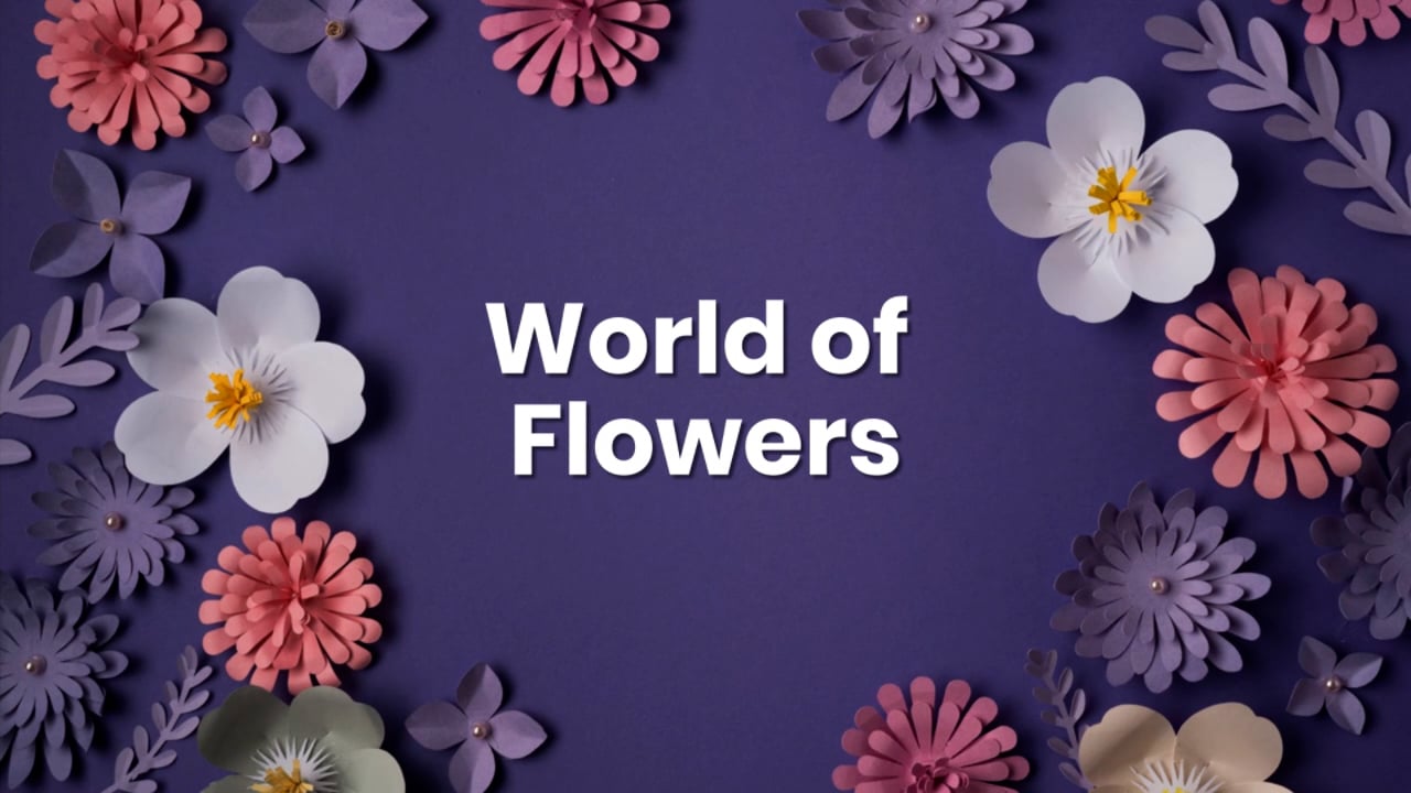 World of Flowers on Vimeo