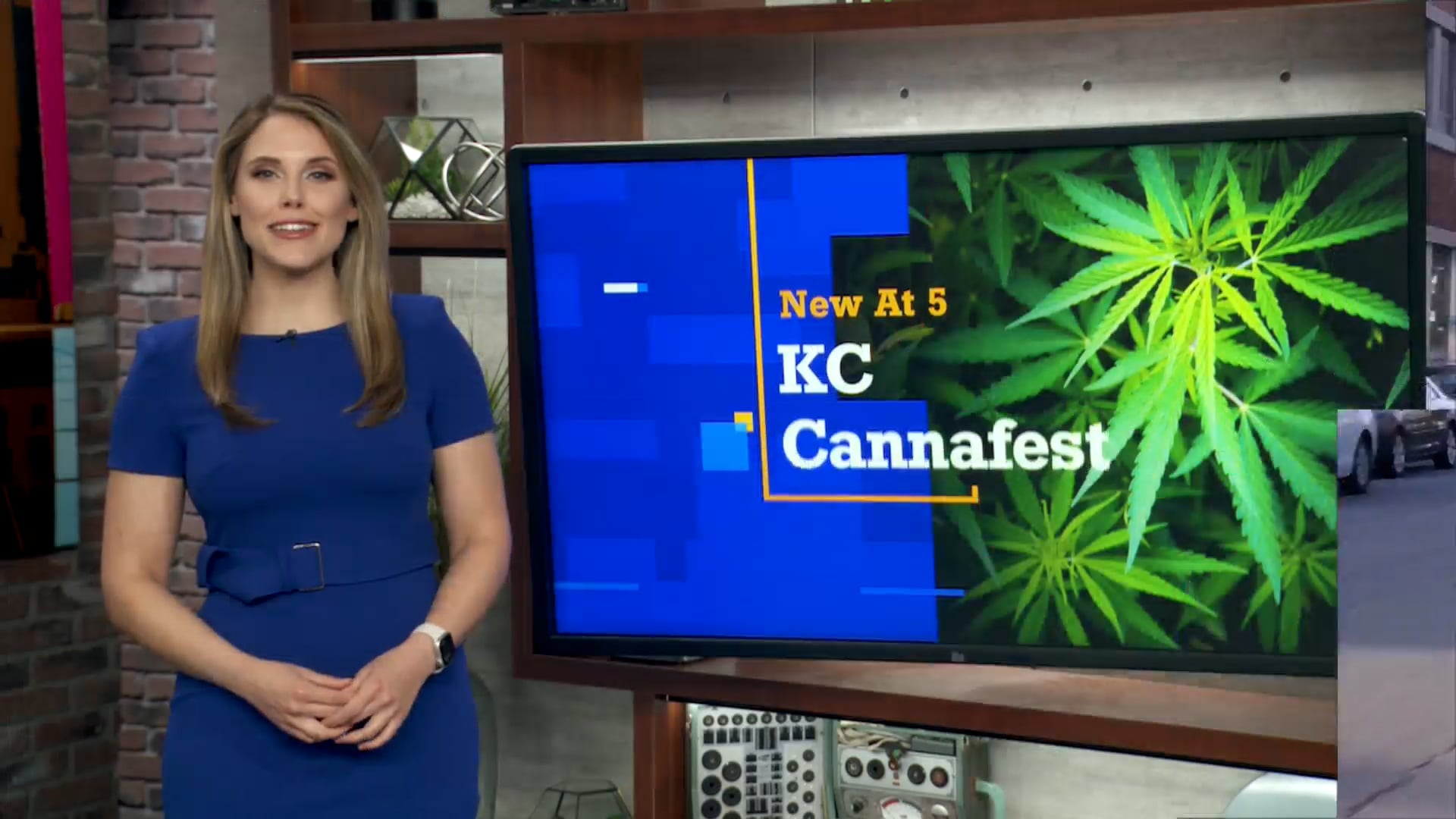 KC Cannafest Anchor Intro on Vimeo