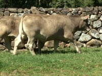 Lote 34