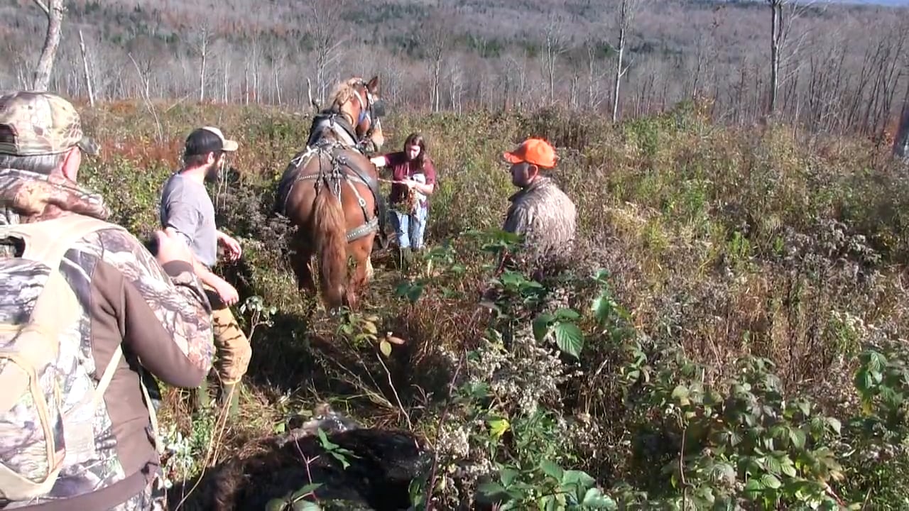 Recent Episodes Hunt of A Lifetime Moose Hunting in Vermont with
