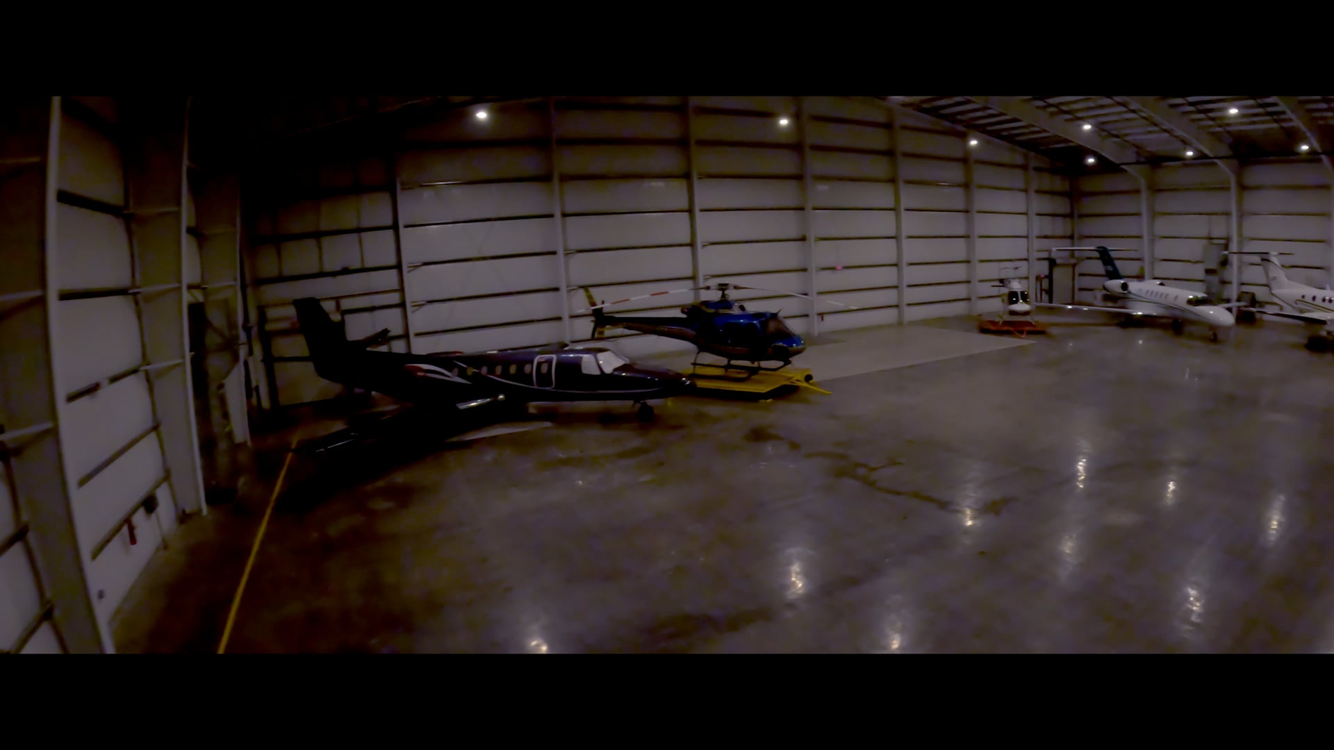 Fight or Flight Trailer review frame