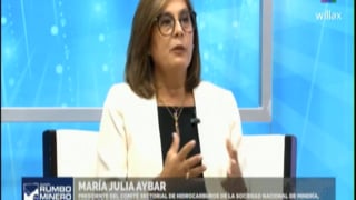 Entrevista a María Julia Aybar en Willax TV