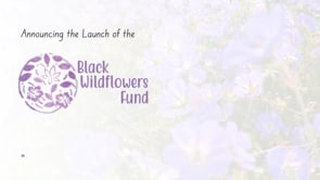 Dismantling Systemic Barriers in Education: Black Wildflowers Fund Launches $10 Million Initiative