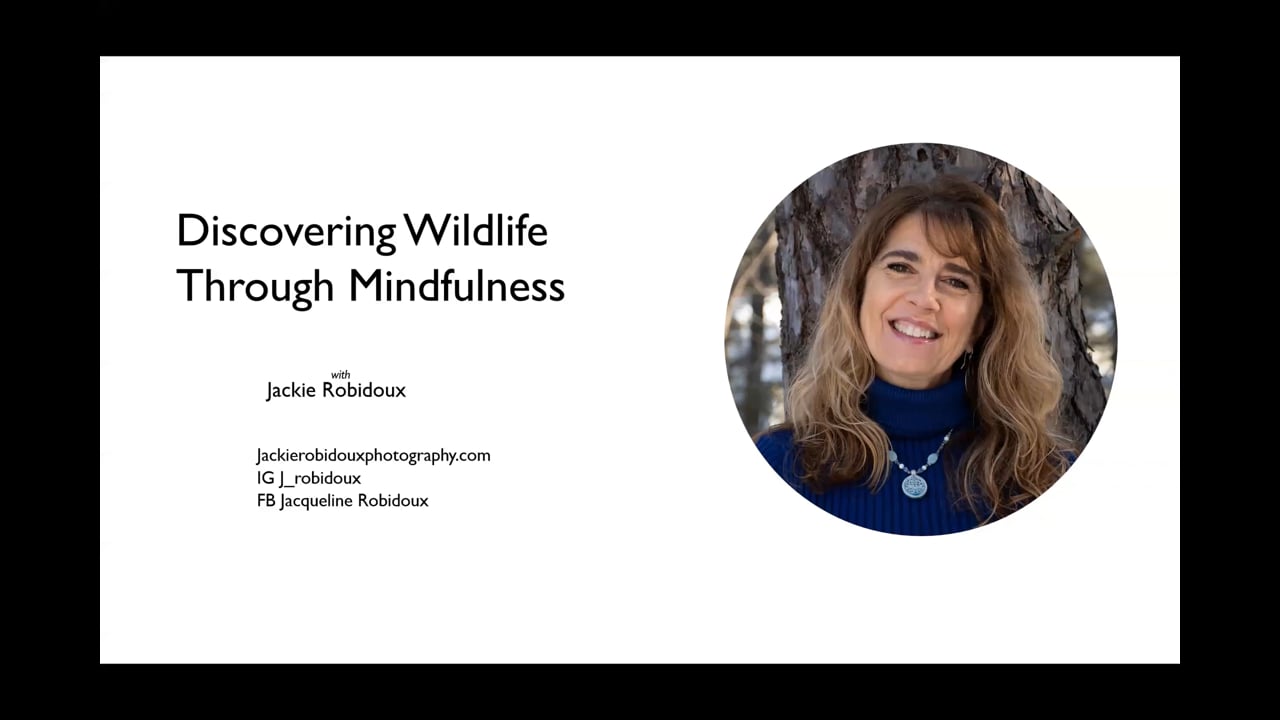 Discovering Wildlife Through Mindfulness - A NANPA Webinar