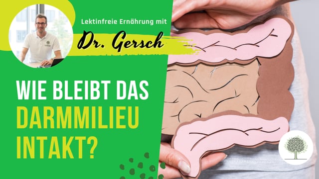 Wie sollte das Verhältnis von Kohlenhydraten, Fetten und Protein sein, damit das Darmmilieu sich gut intakt halten kann? 