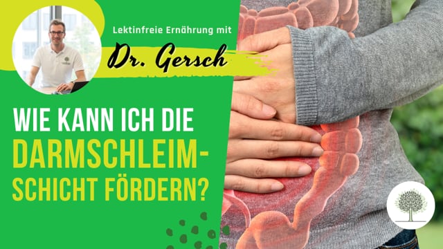 Gibt es Lebensmittel, die Gesundheit der Schleimschicht des Darmes fördern?