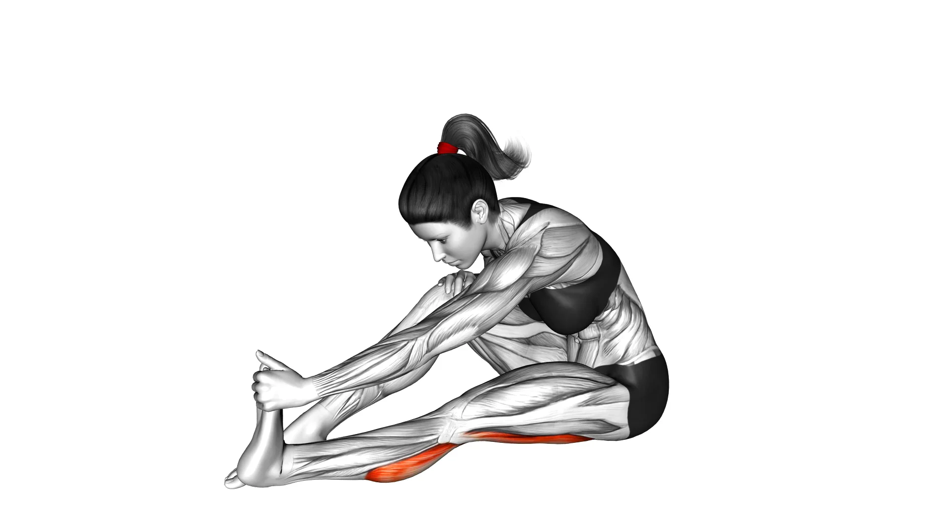 Seated Straight Leg Calf Stretch Femalecalves On Vimeo