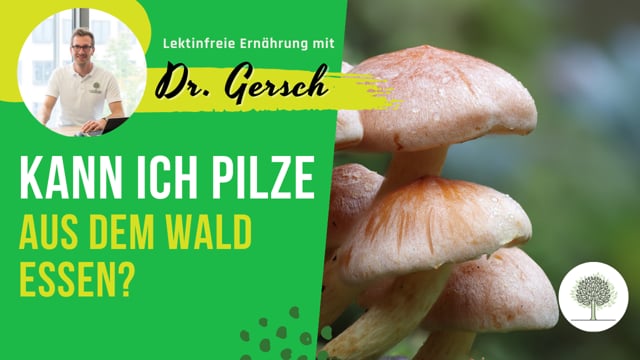 Wie sieht es bei den im Wald gesammelten Pilzen mit dem Fuchsbandwurm aus? 