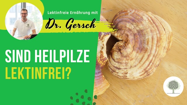 Sind Heilpilze wie z. B. Reishi und Cordyceps lektinfrei?