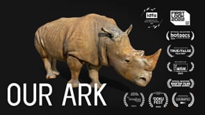 OUR ARK is an essay film on our efforts to create a virtual