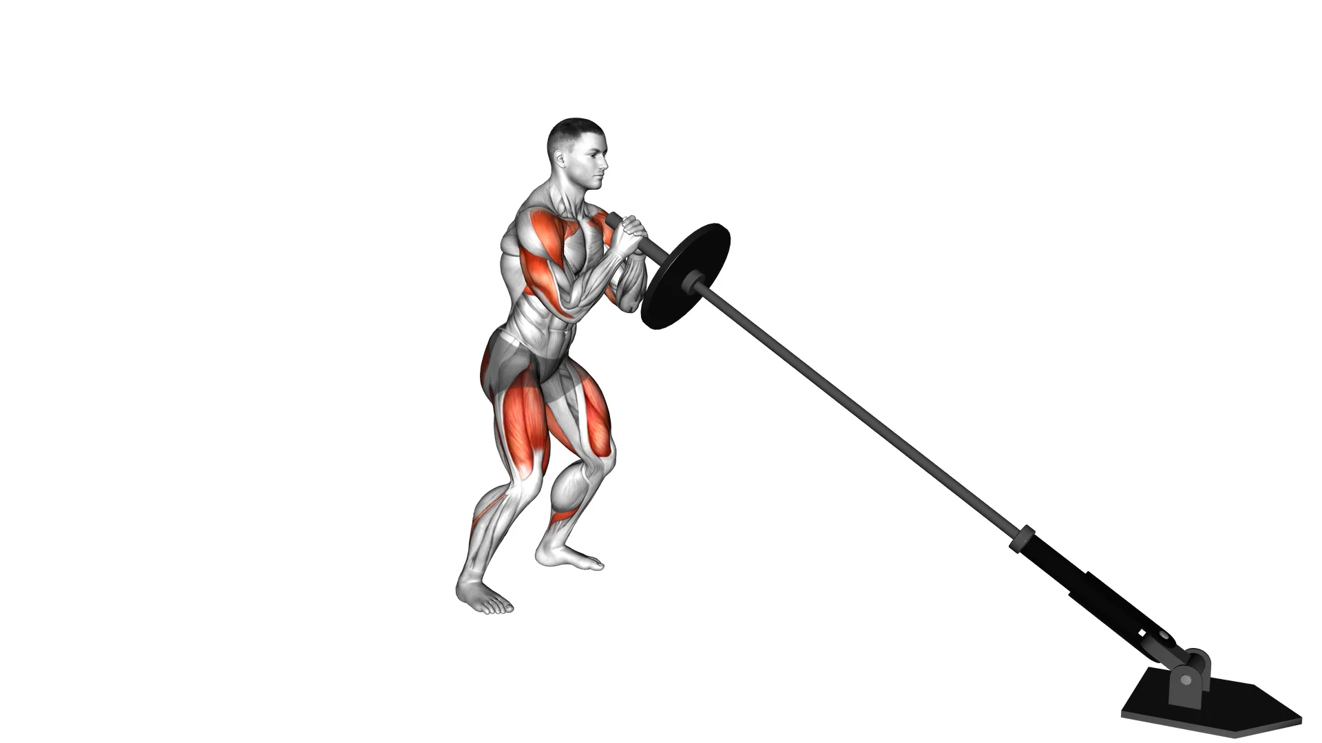 Landmine Squat and Press on Vimeo
