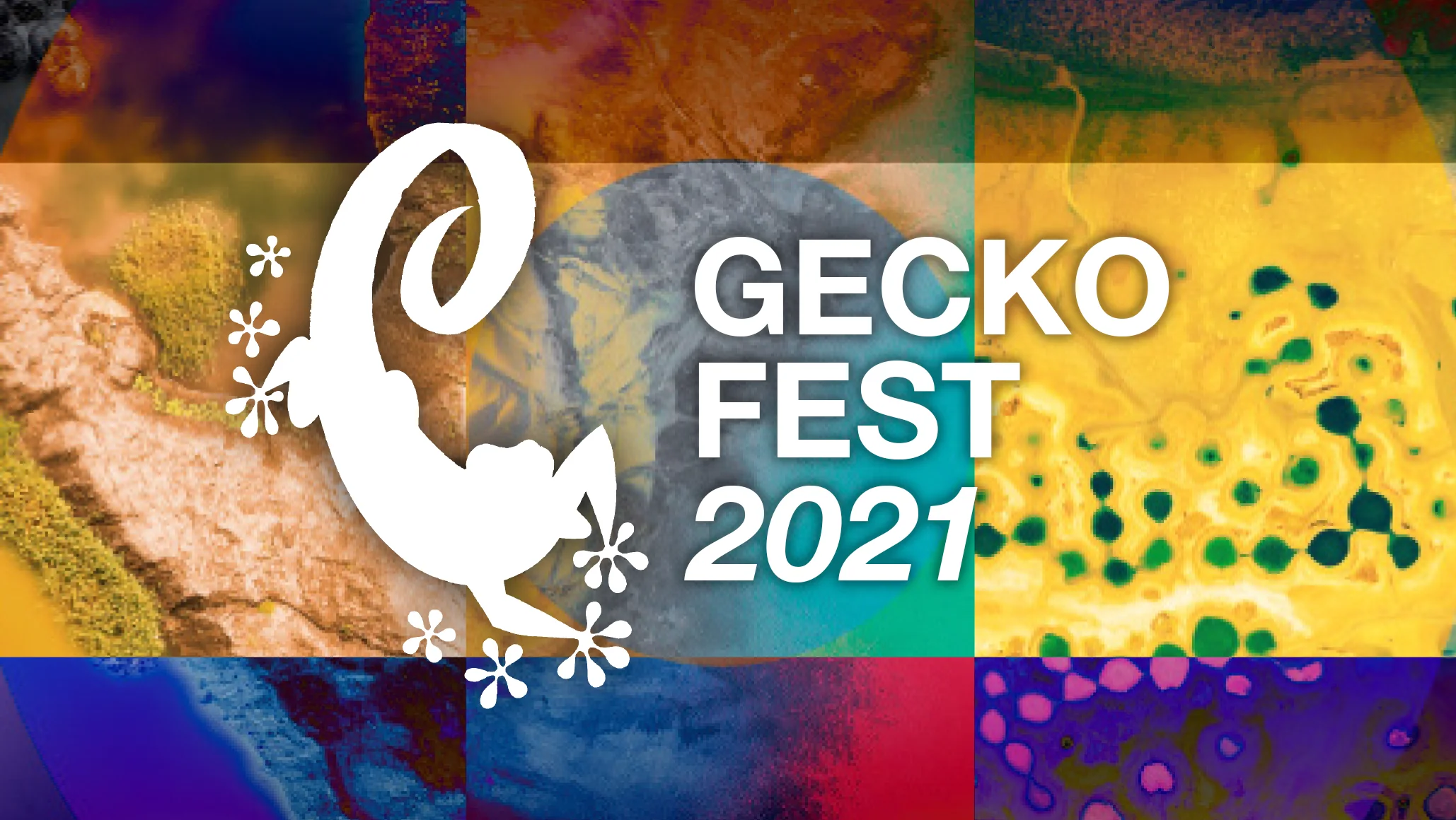 Gecko Fest on Vimeo