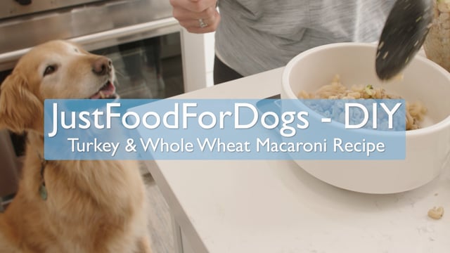 Just food for dogs 2024 turkey and macaroni recipe