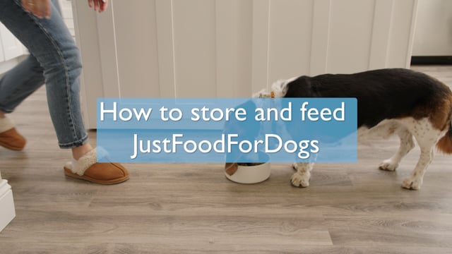 Just food for dogs balanced clearance remedy