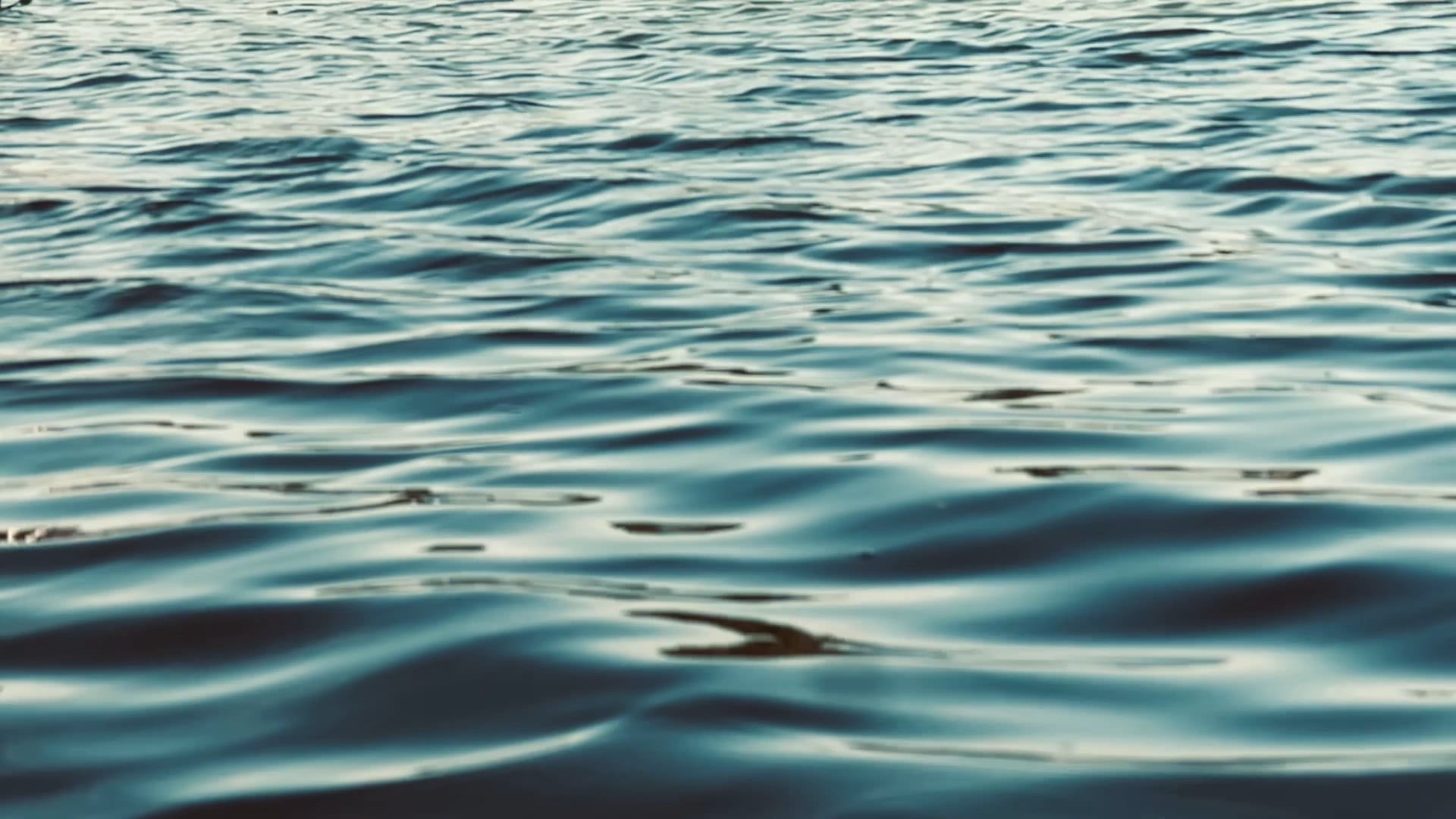 Aquatic Access Consulting compliance, equipment, training