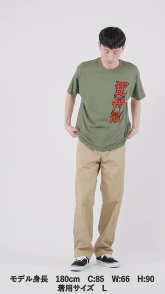 POWELL PERALTA SKATEBOARDS/パウエルペラルタ Cab Ban This TEE Daytona Park  (デイトナパーク)｜デイトナインターナショナルの公式ファッション通販サイト