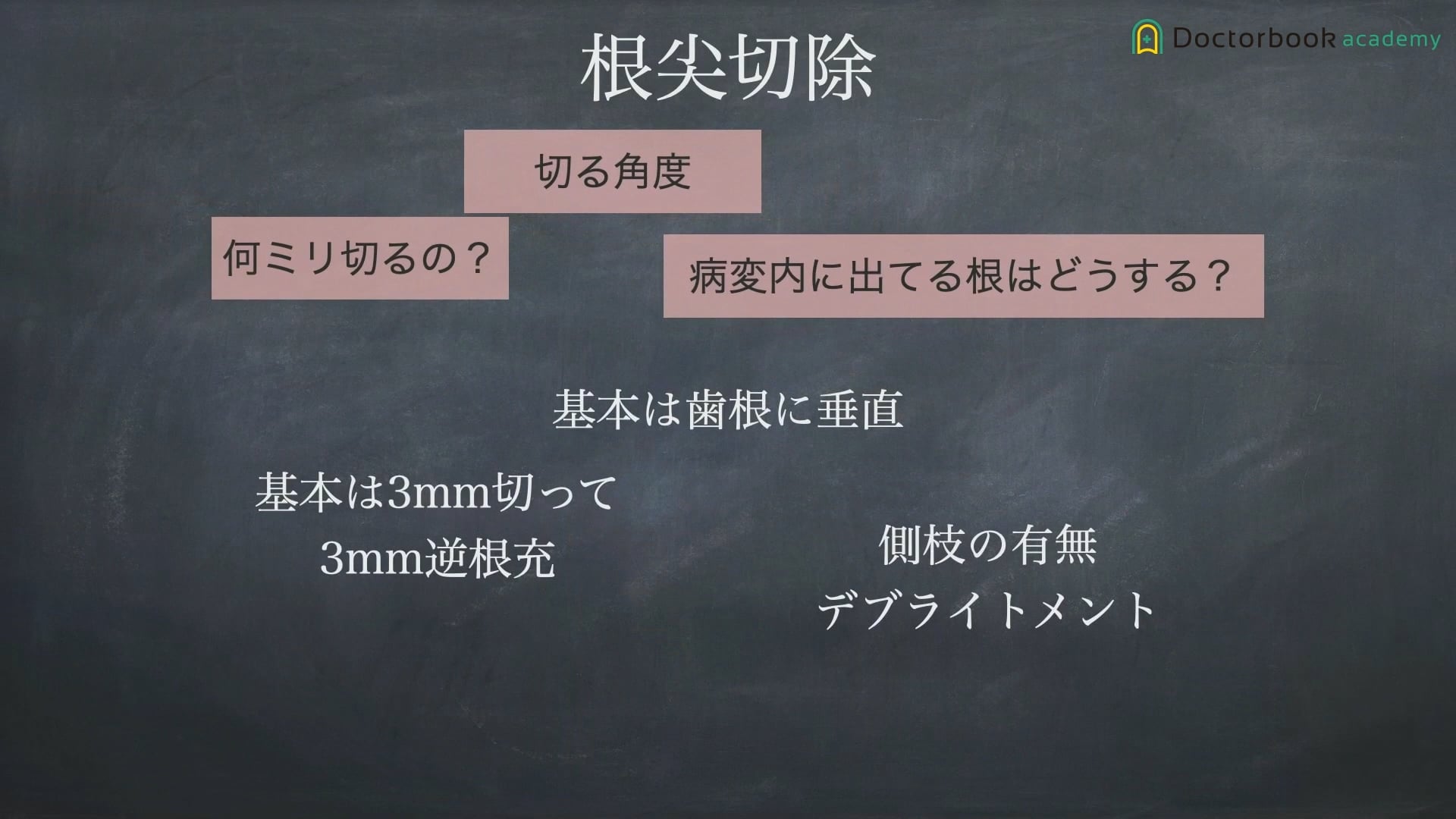 臨床知見録_歯根端切除_根尖の切除の角度について