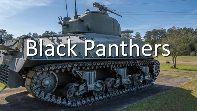 Black Panthers in the Snow: The 761st Tank Battalion at the Battle of the  Bulge, The National WWII Museum