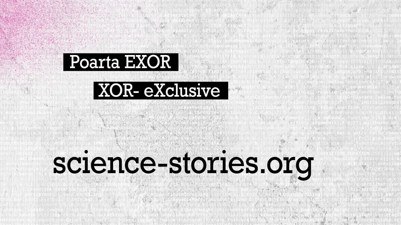 Poarta XOR