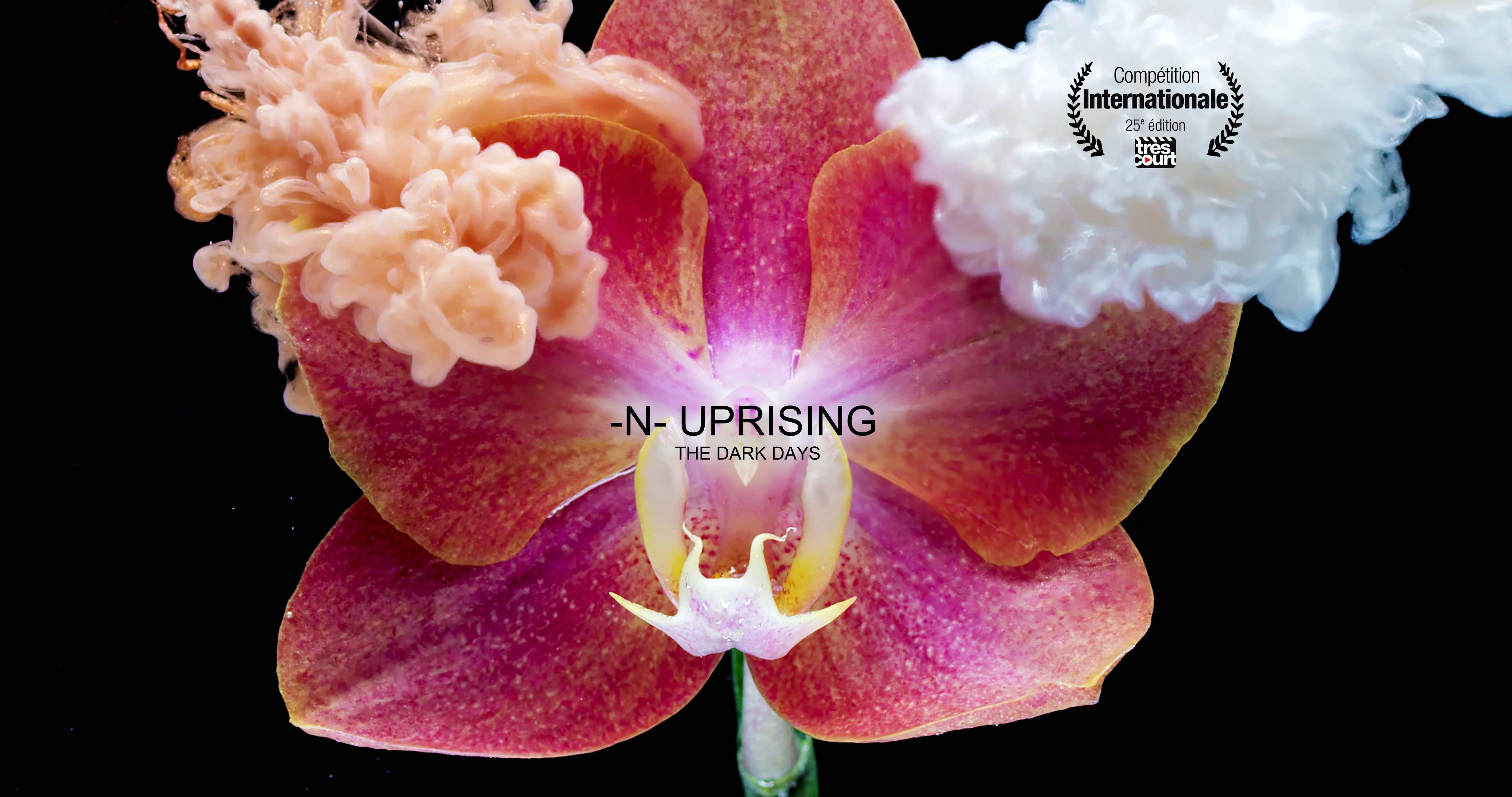 Gorgeous Timelapse of Flowers and Insects Took Six Months to
